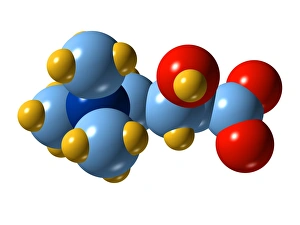 Cellular Energy Production Prints: Carnitine molecule