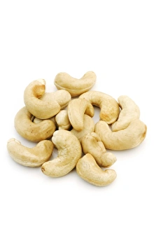 Anacardium Occidentale Prints: Cashew nuts