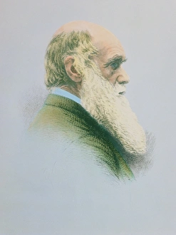 Charles Darwin Charles Darwin