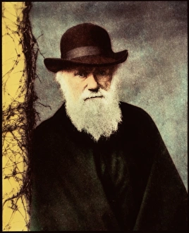 Charles Darwin Portrait Prints: Charles Darwin