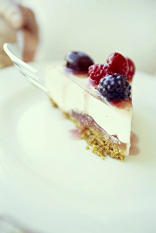 Food Photography Styles Prints: Cheesecake