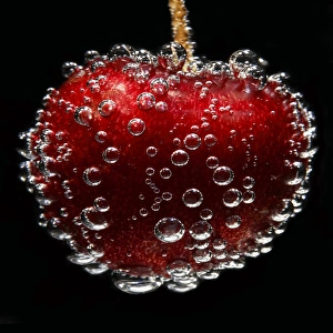 Images Dated 28th August 2007: Cherry Cherry Print - Air Bubbles on a Suspended Cherry
