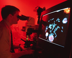 Chromosome analysis Chromosome analysis