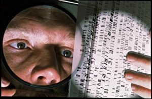 cientist studies DNA autoradiogram with magnifier cientist studies DNA autoradiogram with magnifier