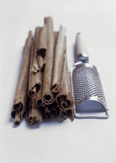 Fragrant Spices Prints: Cinnamon
