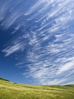 Cirrus Clouds Prints: Cirrus clouds