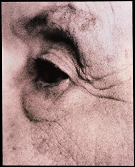 Close-up of an elderly womans eye (side view) Close-up of an elderly womans eye (side view)