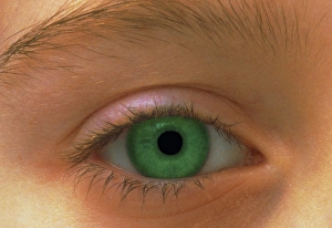 Close-up image of a young girls green eye Close-up image of a young girls green eye