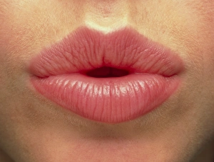 Close-up of the pink lips of a woman (front view) Close-up of the pink lips of a woman (front view)