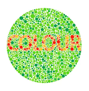 Scientific Posters: Colour Blindness Test Print: Ishihara Colour Test Card