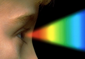 Colour vision: spectrum of light entering the eye Colour vision: spectrum of light entering the eye