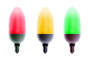 Images Dated 22nd August 2011: Coloured Energy Saving Light Bulb Print