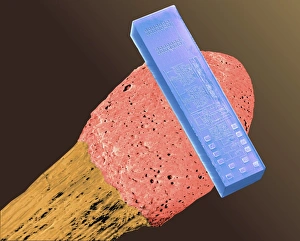 Coloured SEM of blood pressure monitor on a match Coloured SEM of blood pressure monitor on a match