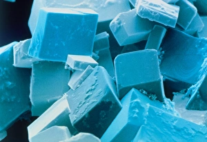 Coloured SEM of common salt, sodium chloride Coloured SEM of common salt, sodium chloride