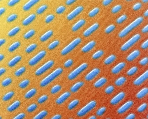 Prints of Compact disc surface. Coloured scanning electron micrograph (SEM) of the surface of an audio compact disc (CD). The CD is made of aluminium with a transparent plastic coating Images Dated 2005 May: Coloured SEM Print of Compact Disc Surface
