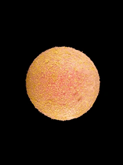 Coloured SEM of a fertilized human egg (zygote) Coloured SEM of a fertilized human egg (zygote)