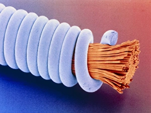 Coloured SEM of superwound guitar string Coloured SEM of superwound guitar string