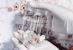Columbus family tissue samples Columbus family tissue samples