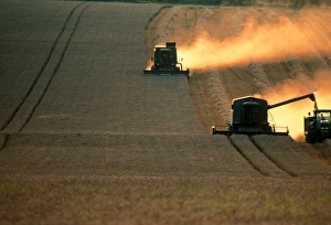 Combine harvesters and tractor working in a field Combine harvesters and tractor working in a field