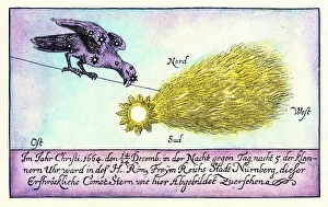 17th Century Astronomy Prints: Comet, 1664