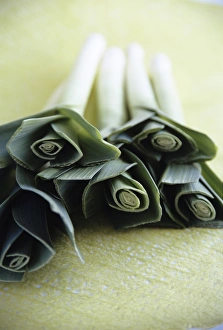 Images Dated 13th August 2004: Common leek Print