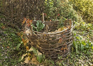 Coppiced Hazel Compost Bin Print