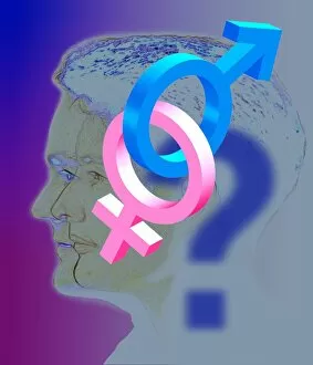 Images Dated 10th September 1998: Computer art representing sexual identity crisis