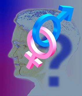 Computer art representing sexual identity crisis Computer art representing sexual identity crisis
