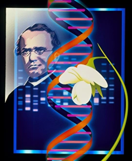Computer artwork of the botanist Gregor Mendel Computer artwork of the botanist Gregor Mendel