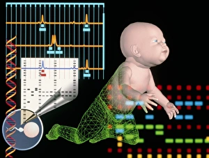 Computer artwork depicting babys paternity test Computer artwork depicting babys paternity test