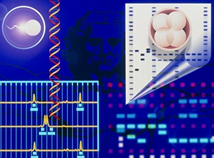 Computer artwork depicting embryo paternity test Computer artwork depicting embryo paternity test