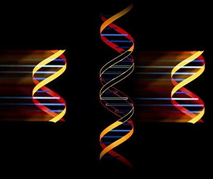 Computer artwork of genetic engineering Computer artwork of genetic engineering