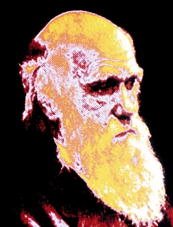 Charles Darwin Portrait Prints: Computer coloured portrait of Darwin