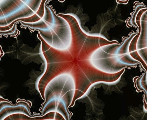 Computer-Generated Chaos Fractal Print