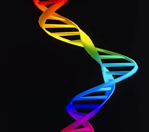 Computer graphic of deformity in a DNA molecule Computer graphic of deformity in a DNA molecule
