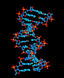 Computer graphic of a DNA molecule from HIV virus Computer graphic of a DNA molecule from HIV virus