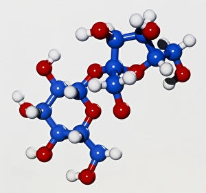 Computer graphic of a molecule of sucrose Computer graphic of a molecule of sucrose