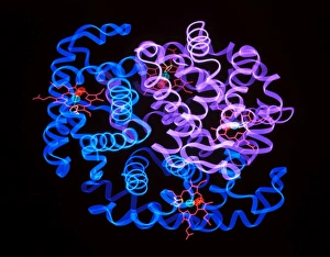 Computer graphics of haemoglobin blood substitute Computer graphics of haemoglobin blood substitute