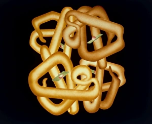 Computer graphics of haemoglobin molecule Computer graphics of haemoglobin molecule