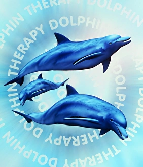 Computer illustration of dolphin therapy Computer illustration of dolphin therapy