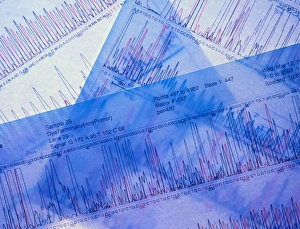 DNA Sequencing Prints: Computer print-out of a DNA sequence