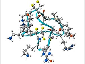 Images Dated 19th April 2011: Omega-conotoxin MVIIA Molecular Model Print
