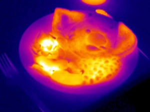 Images Dated 26th March 2004: Thermogram Print of a Cooked Breakfast