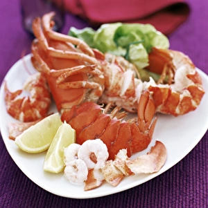 Crustacean Meal Prints: Cooked lobster