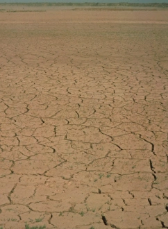 Cracked mud bed of Aral Sea Cracked mud bed of Aral Sea
