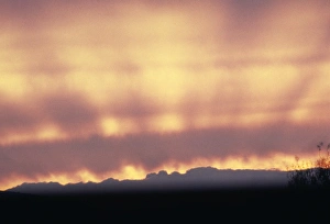 Crepuscular rays of light during sunset Crepuscular rays of light during sunset
