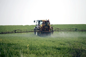 Prints of Crop spraying. Tractor spraying herbicide on a field of young wheat (Triticum sp.) Images Dated 2009 January: Crop Spraying Print: Tractor in Wheat Field