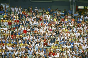 Football Stadium Crowd Prints: Crowd of spectators
