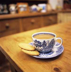 Camellia Sinensis Prints: Cup of tea