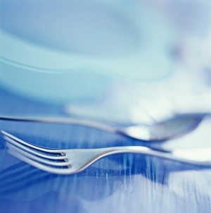 Stainless Steel Cutlery Prints: Cutlery